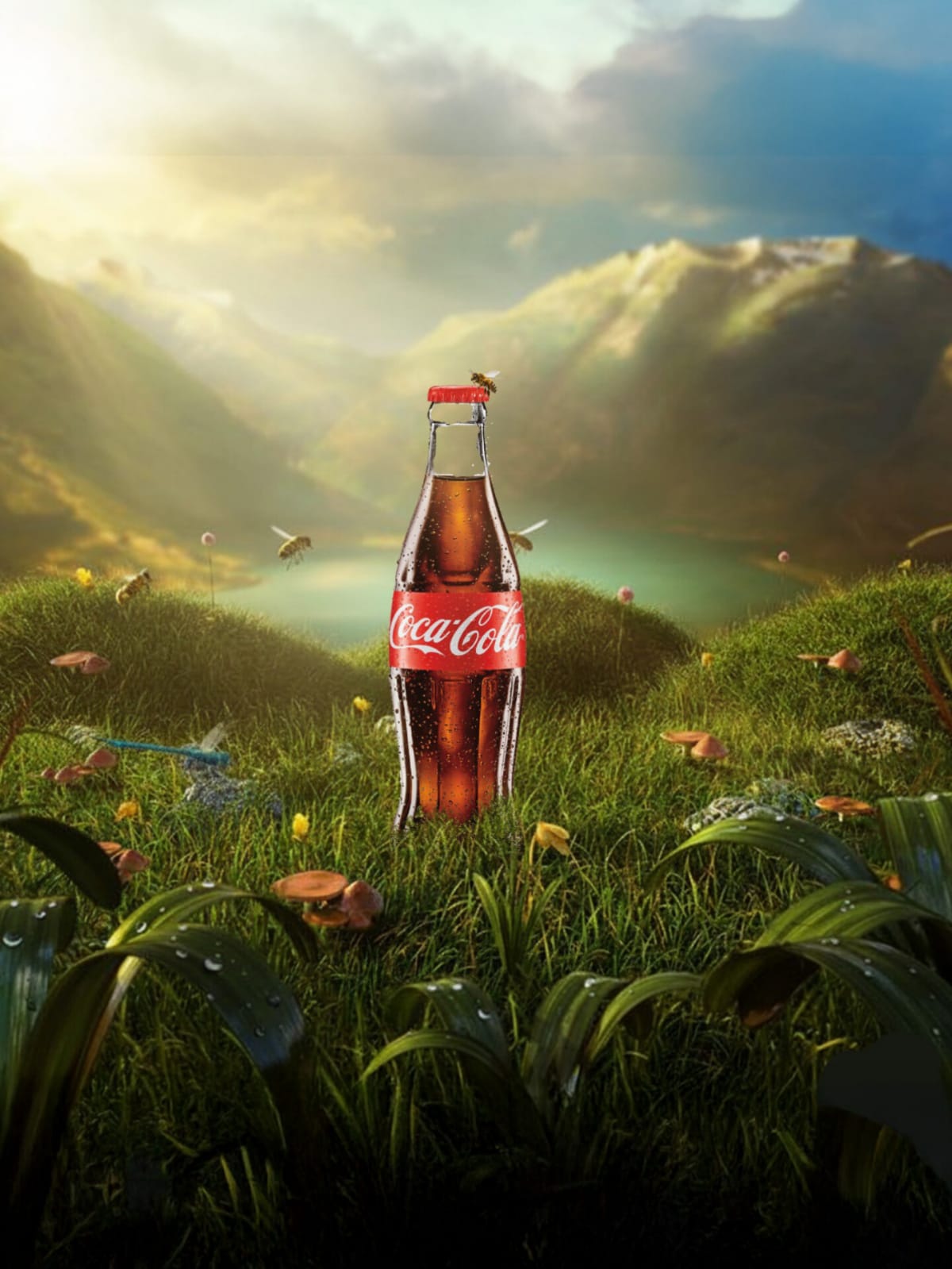 WhatsApp Image 2026-02-04 at 12.11.08 AM